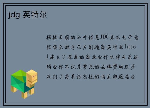 jdg 英特尔